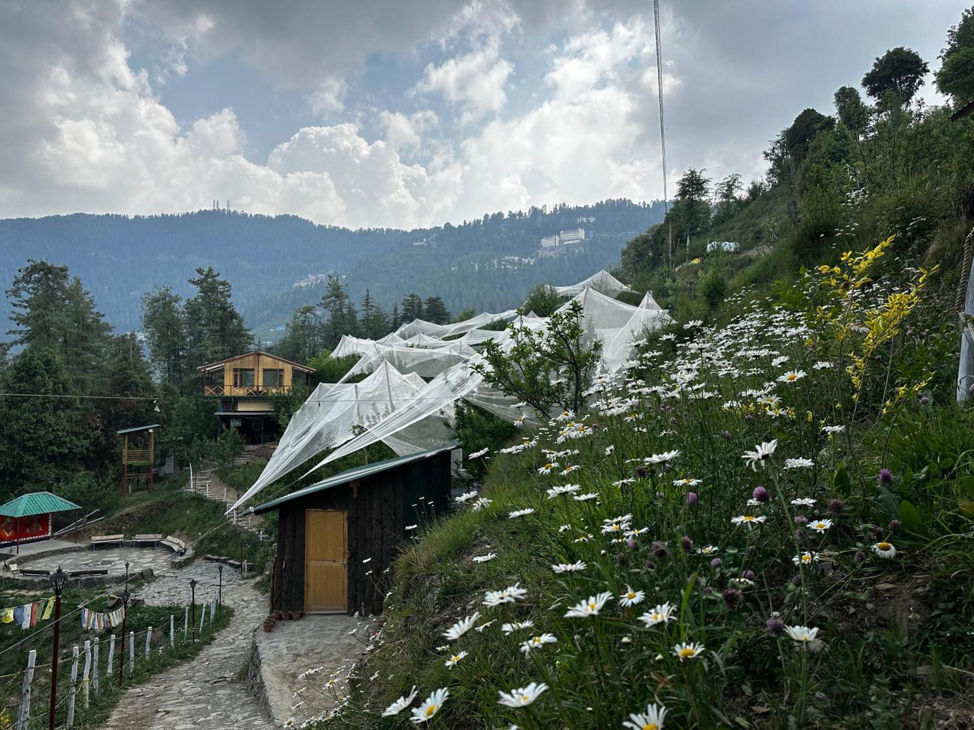 Hotel Daak Bangla Retreat Kufri Zewnętrze zdjęcie