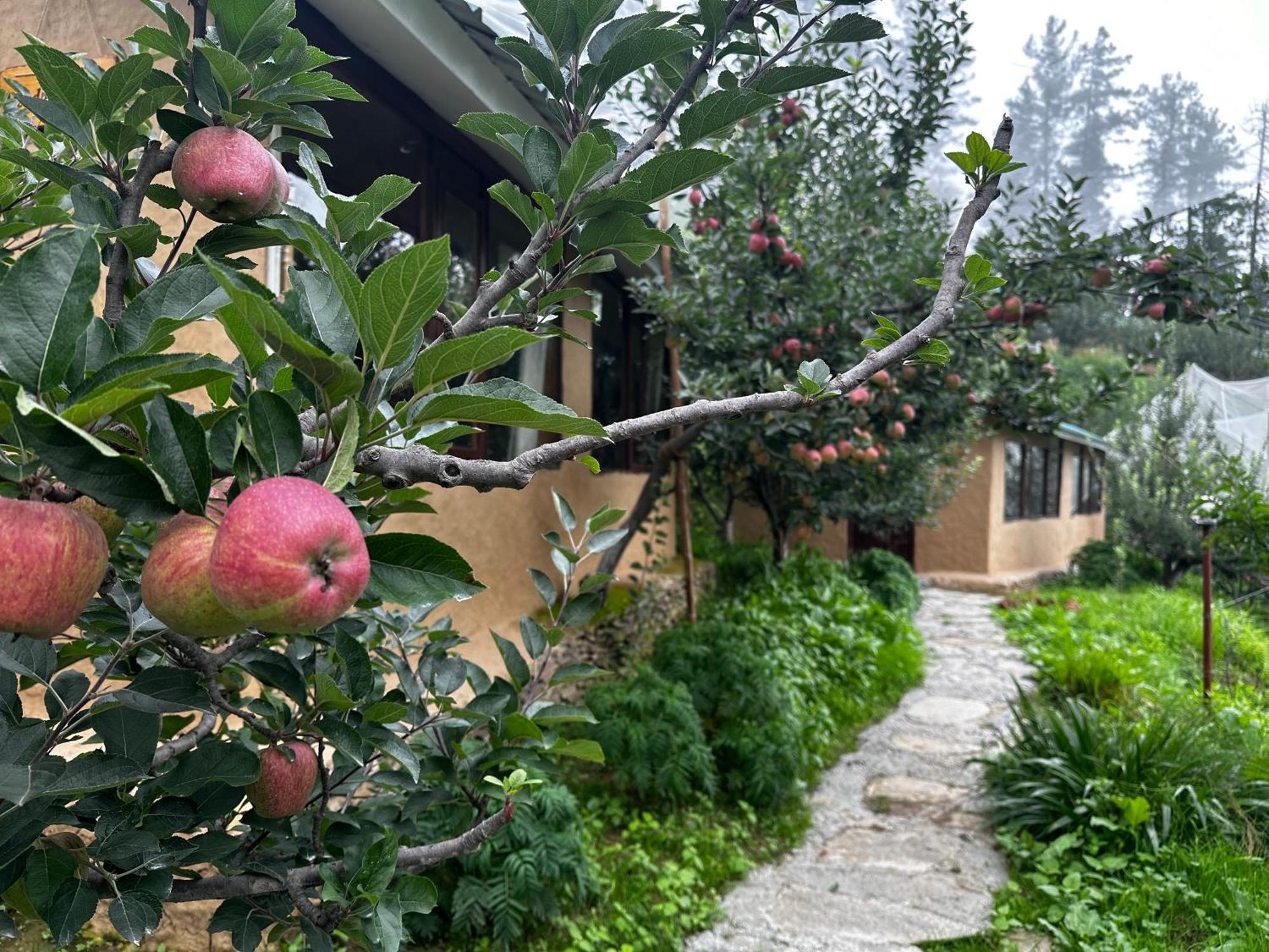 Hotel Daak Bangla Retreat Kufri Zewnętrze zdjęcie
