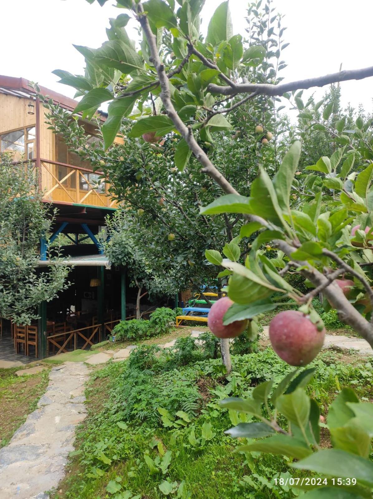 Hotel Daak Bangla Retreat Kufri Zewnętrze zdjęcie