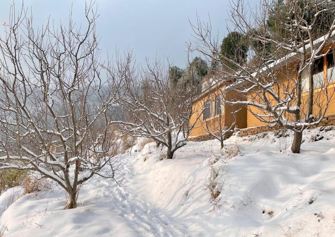 Hotel Daak Bangla Retreat Kufri Zewnętrze zdjęcie