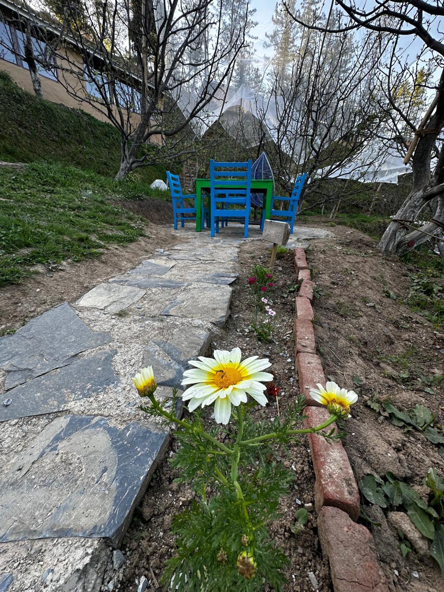 Hotel Daak Bangla Retreat Kufri Zewnętrze zdjęcie